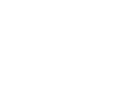 tis interpreter